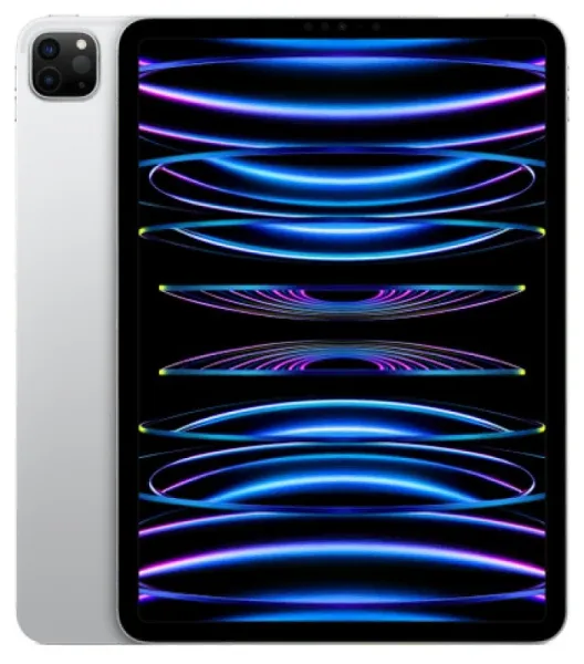 Купить Apple iPad (2022) M2 Pro 11 256gb LTE Sp. Gray в Набережных